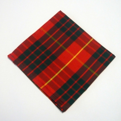 KAPESNÍČEK (hedvábí)  Cameron Clan Modern